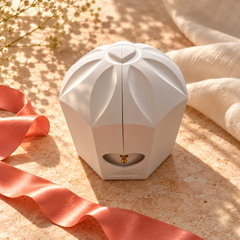White Rose Box closed, showing its heart detail and sculpted petal shape in warm sunlight