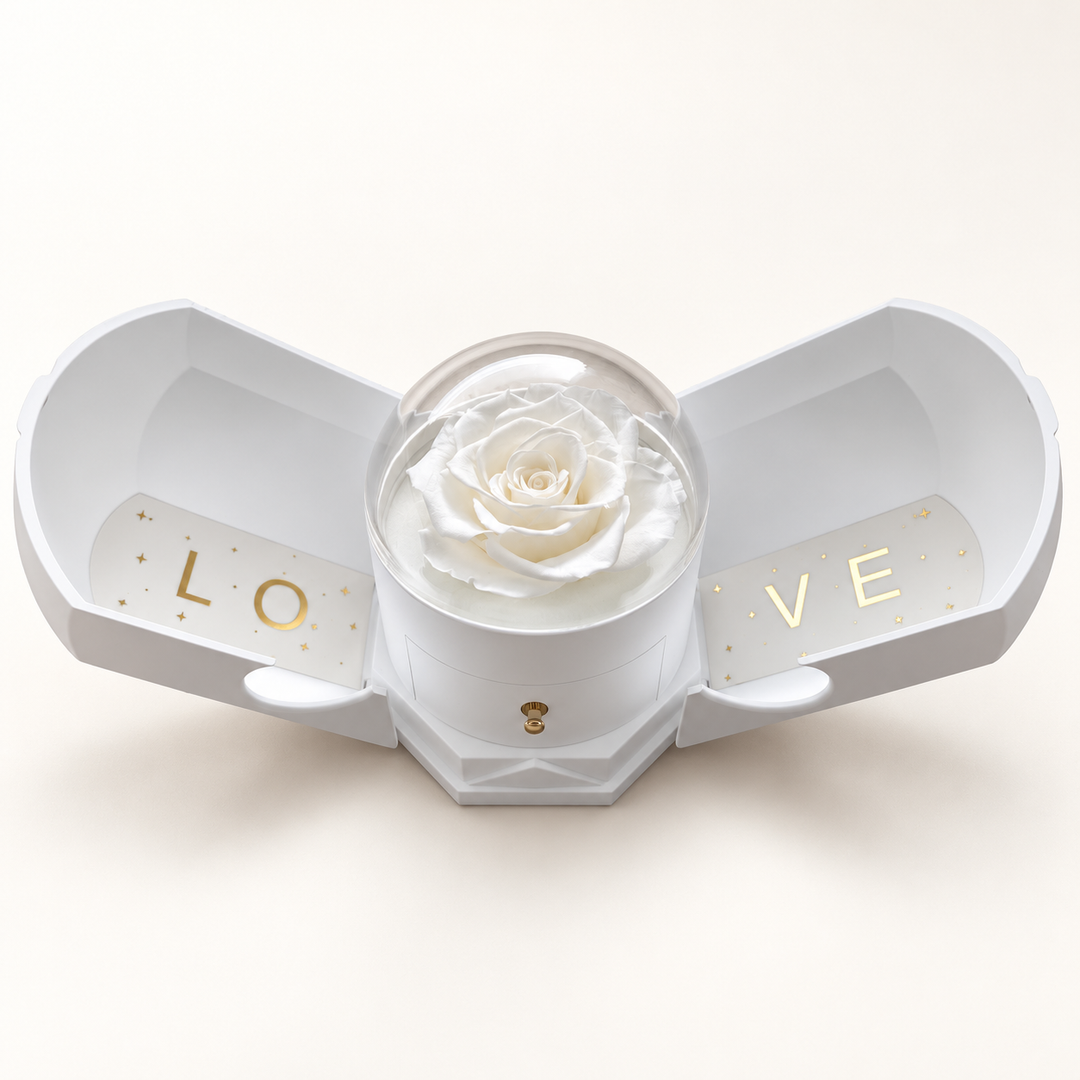 Optional white Rose Box with attached sides open and rose under a clear dome