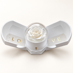 Optional white Rose Box with attached sides open and rose under a clear dome